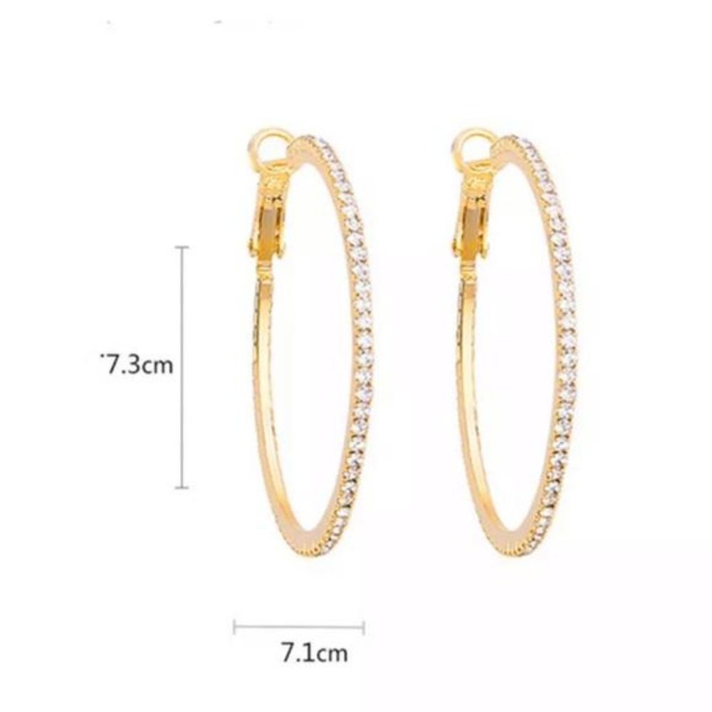 NEW STERLING SILVER DIAMOND ROUND HOOP EARRINGS, NICE EARRINGS, CUTE EARRINGS. - Picture 4 of 4